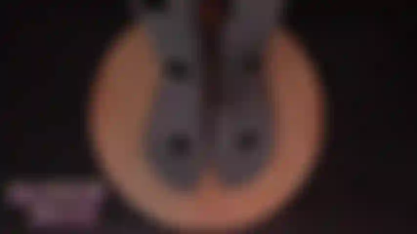 Fußanbetung asmr pediküre.