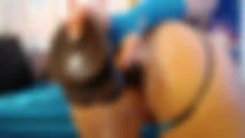 Anal-nahaufnahme eines monsterschwanzes.