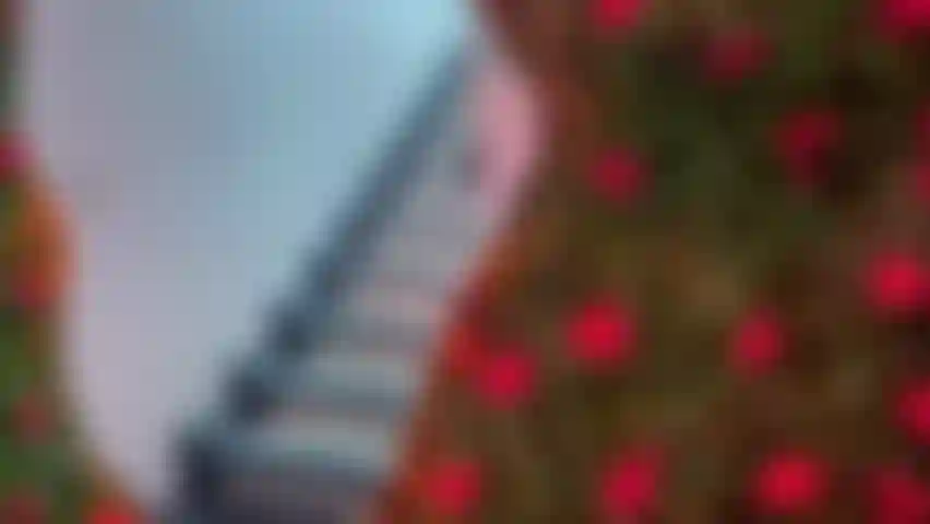 Körper und geschlecht.