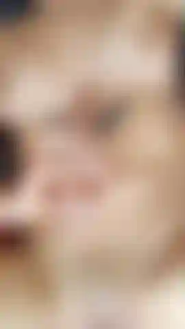 Die hitze verzehrt mich, wenn ich gleichzeitig meine muschi und meinen arsch ficke, wird meine hitze immer höher, aber mein körper schreit nach der wärme deiner liebkosungen, wenn ich den höhepunkt der erstarrung erreiche. Genieße diesen heißen und feuchten moment für mich, ich verspreche, du wirst es nicht bereuen.