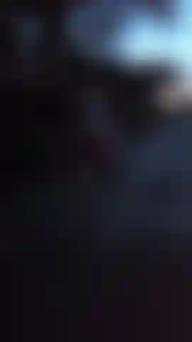 Die nackt im wald spazieren geht.