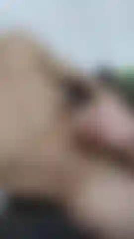 Versehentliche enthüllung? Vielleicht nicht.