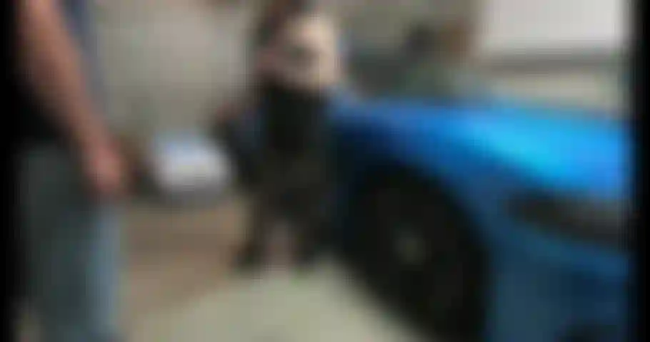 Ich war während des corona-lockdowns so geil, aber mein mann lässt niemanden vorbei. Also habe ich meinen nachbarn hereingeschmuggelt und er hat mich in der garage gefickt, während mein mann schlief!