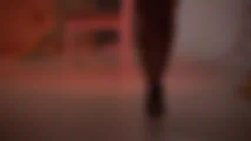 Eine wunderbare leidenschaft.