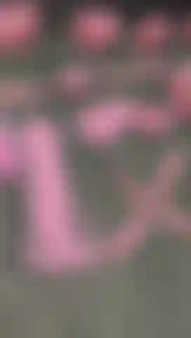 Don't forget to ask for a BDSM show