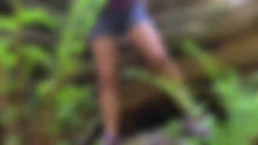 Komme im wald an einem bach.