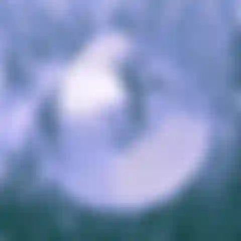 Breed My Pink Pussy - Enjoy a breeding fantasy show, staring my hot pink pussy. Watch as I get creamy, and drip down a thick cock while fantasizing about being bred by a stud. My fat pussy lips grip his cock while I beg for his cum. In hot pink stockings here.#bbw #bigpussylips #creamypussy #drippingwet #breedingkink #breedme #creampie #wetpussy #maturepussy #dirtytalk #seedme