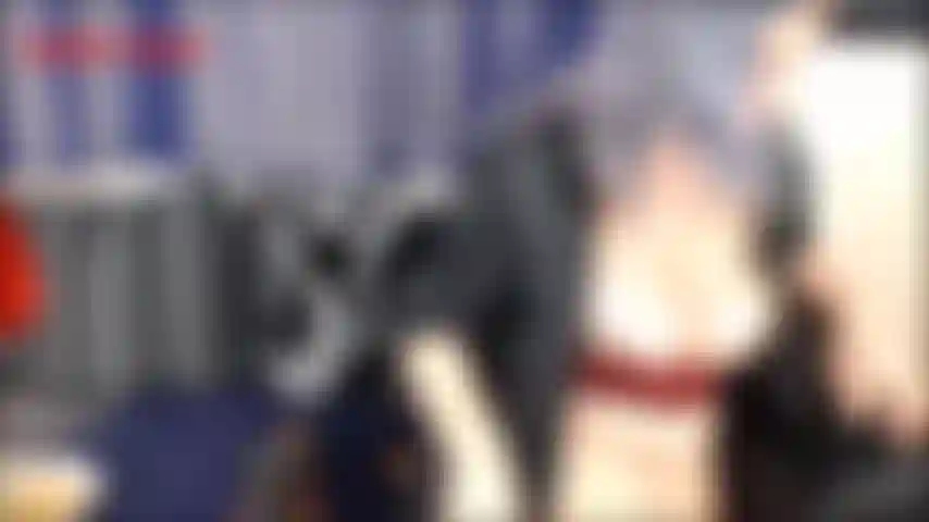 Die ansteckung mit covid 19 teil 1 – jackie isoliert sich selbst, genau wie alle anderen auch. Sie isst zu viel und nimmt die pfunde zu! Heute abend schaut sich jackie nach einer langen nacht eine kriminaldokumentation an...