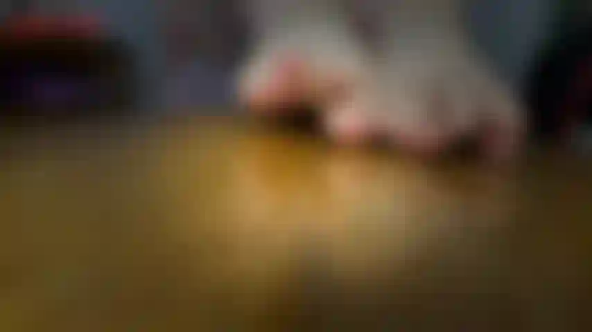 Nackte bbw-füße – jackie hat in diesem clip ihre unpolierten zehen direkt in deinem gesicht. Jackie neckt dich mit ihren unbemalten schweinchen, wackelt damit vor deinem gesicht, streckt sie aus und drückt sie flach. Dann hält jackie ihre faltigen sohlen direkt in die kamera.
