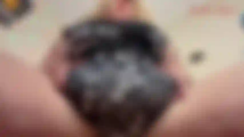 Sperma auf meinen dicken bauch – du liebst es, jackies dicken bauch zu sehen, und jetzt ist er noch dicker! Jackie bringt dich auf die knie, pov-stil, während sie langsam ihre großen, sexy titten und ihren großen, wunderschönen bauch direkt vor dir enthüllt. Sie greift sich eine handvoll von...