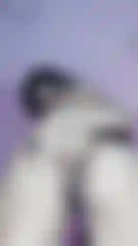 Do you want to see my anus closer?