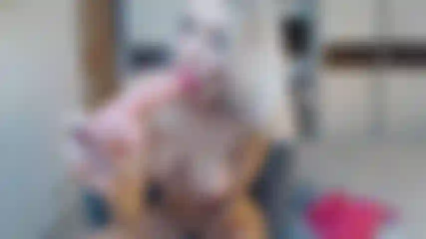 Blase schlampig und reite einen dildo.