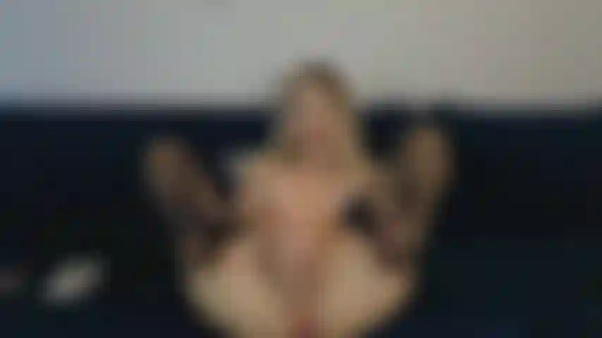 Ficke muschi mit dildo und fingern.