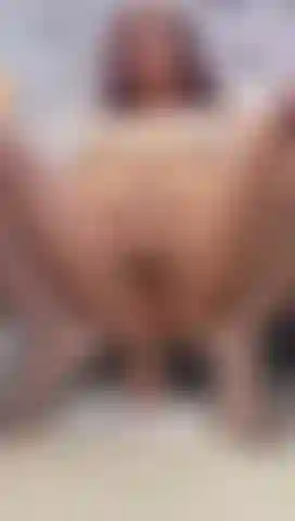 Do you like to see how I play with your cock, putting it in and then taking it out?