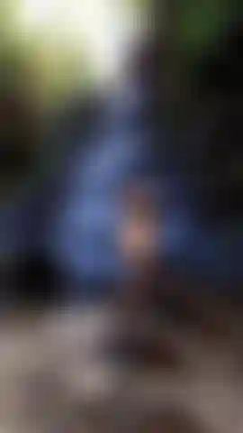 Wasserfallstreifen. 2023.