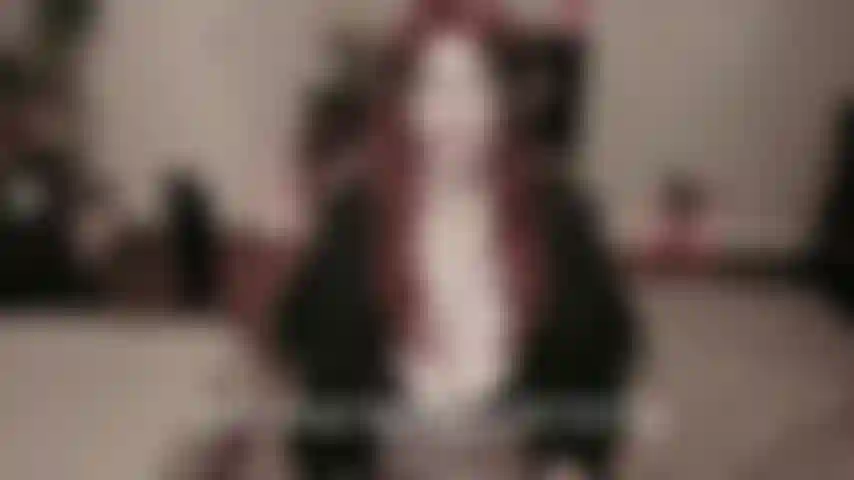 Slow Mutual Play — You & Me follow each other’s rhythm, and let the tension build naturally. I guide the pace, and you stay with me; we enjoy the feeling of sharing the moment.
intimate moment where it’s just you and me, focused and connected. This vid is about you and me cumming together, mmm