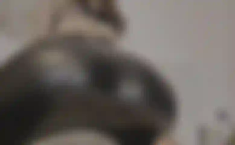 Der arsch deiner göttin in leder.