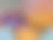 Collection 2: Privates with Gold Show October 10, 2019: nudity, upskirt, fingering, anal, reverse cowgirl, gold show