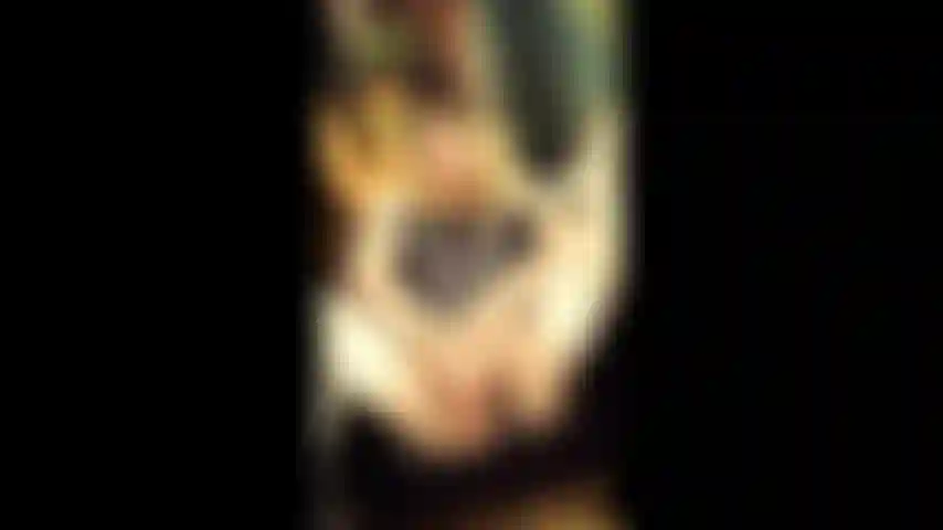 Ein bisschen spielend.