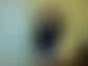 Schau dich an, du keuschheitssklave. Die das sperma eines anderen mannes aus dem höschen lutscht und man weiß nicht einmal, wessen sperma es ist. Ich auch nicht. Ich habe deinen monatlichen blowjob einem fremden statt dir gegeben. Du bist wertlos.