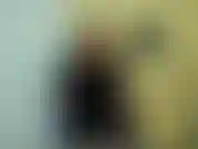 Du würdest ein mädchen ficken? Du bist ekelhaft und erbärmlich. Ich würde niemals eine frau deiner gemeinheit aussetzen. Du wirst von einem kerl mit einem großen schwanz gefickt. Ich lasse dich heute als belohnung sogar deinen kitzler reiben.