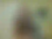 Ich gehe aus und suche mir einen heißen fremden zum ficken. Du bist im bett absolut nutzlos geworden. Ich lasse dich vor mir wichsen und zeige dir sogar ein paar titten und ärsche, bevor ich gehe. Du bist erbärmlich.