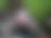 Teaser-strich im neu gestalteten spielbereich ;).