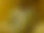 Der wieder masturbiert.