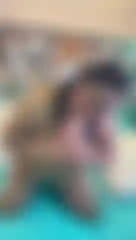 Eine sinnliche, reife latina.