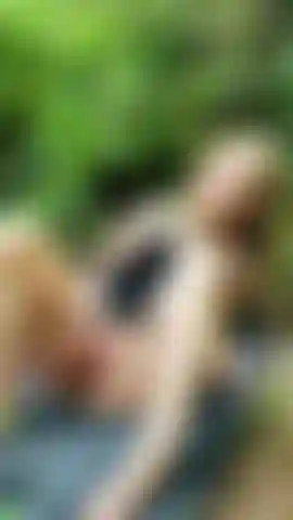 Spiele nass im wald.