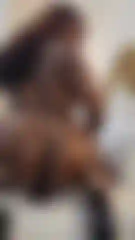 Die deinen schwanz reitet.