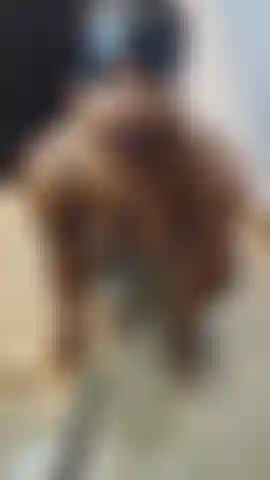 I've thought of several things to do with you... Do you want me to make you a spoiler?