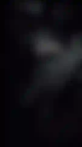 . Was gibt es zum abendessen?