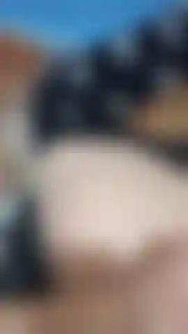 Diese pussy mit neuem spielzeug richtig dehnen.