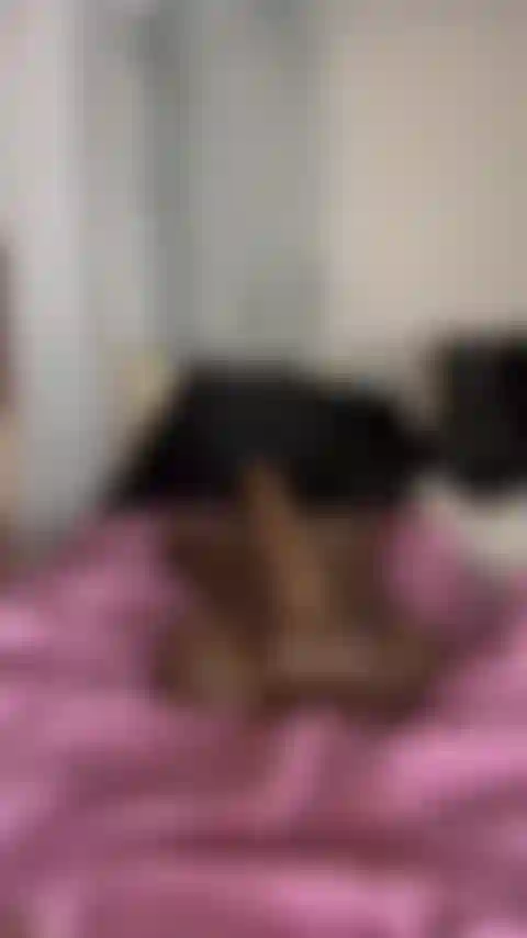 Kylas eingeölter knackarsch, der auf einem 25 cm großen schwanz hüpft.