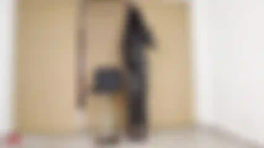 Eine schwarze mamba.