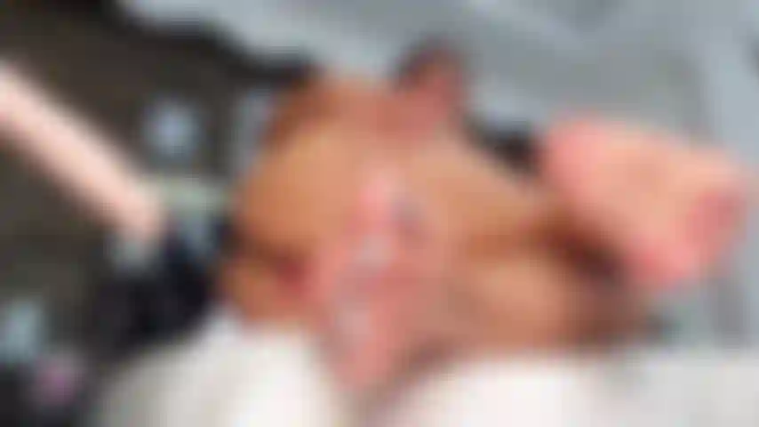 Küsse meine füße, während ich ficke, bis ich abspritze.