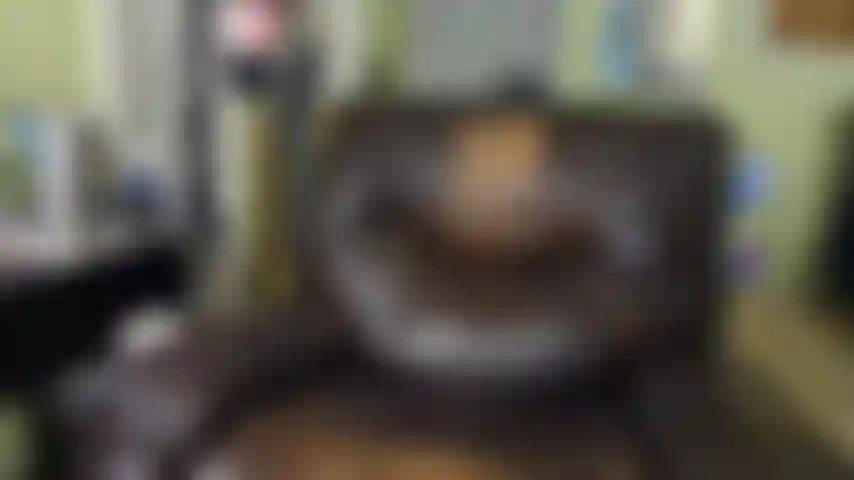 Stecke meinen Lovense-vibrator in mein arschloch.