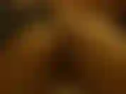 , Nach dem du suchst.