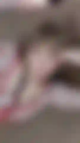 Die königin der herzen.