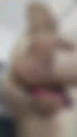 Know more in private!