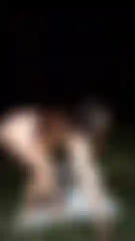 Sexy erotik im wald.