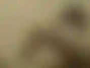 Maid luna streichelt, fingert und fickt sich mit ihrem gummihandschuh in den arsch und kommt zweimal! / Maid luna streichelt sich, fingert sich und fickt sich mit ihrem gummihandschuh, bis sie 2 orgasmen hat!