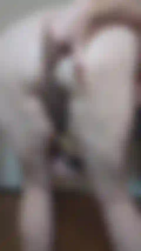 Gurken-anal und atm!