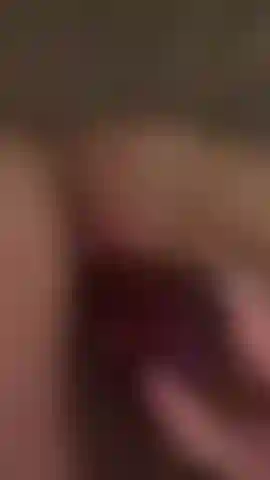 Toy