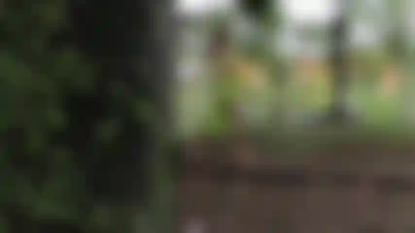 Die intimität in der natur lässt maias kleider langsam fallen, bis sie völlig nackt ist und ihren unbedeckten körper berühren kann.