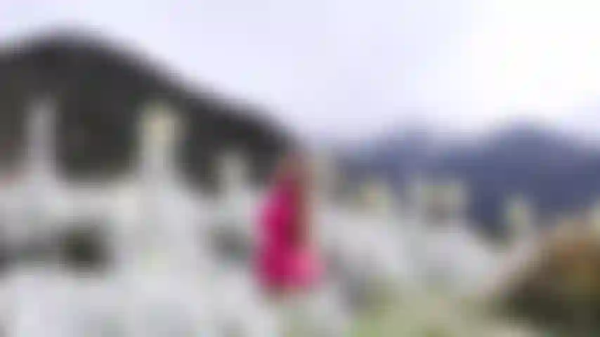 Ich weiß ein wenig über mein land.