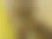 Bbc-dusch-blowjob - ich liebe es einfach, an deinem schwanz zu würgen, bis meine augen zurückrollen!