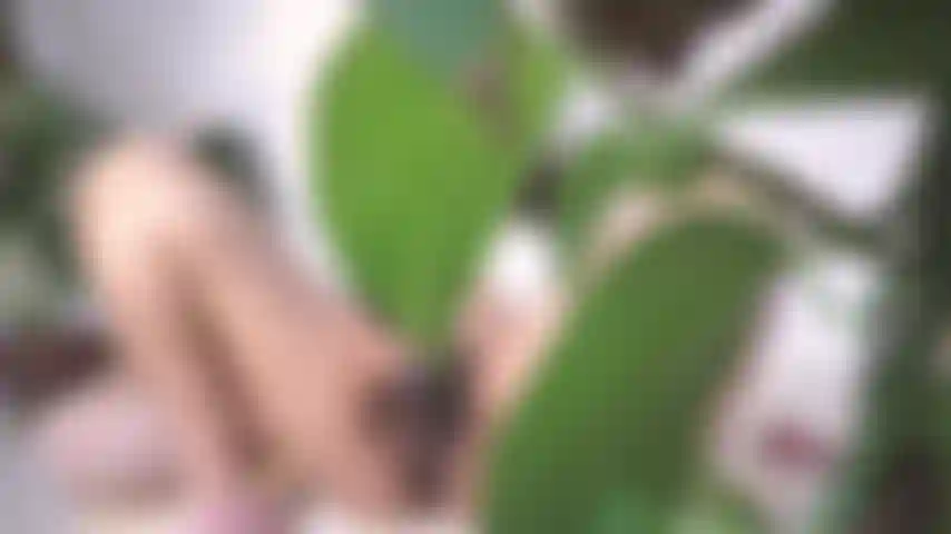 Beim spionieren erwischt und gedemütigt.