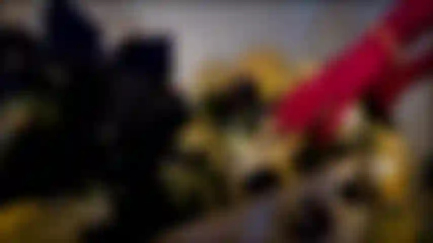 Christmas has arrived, uncover your gift